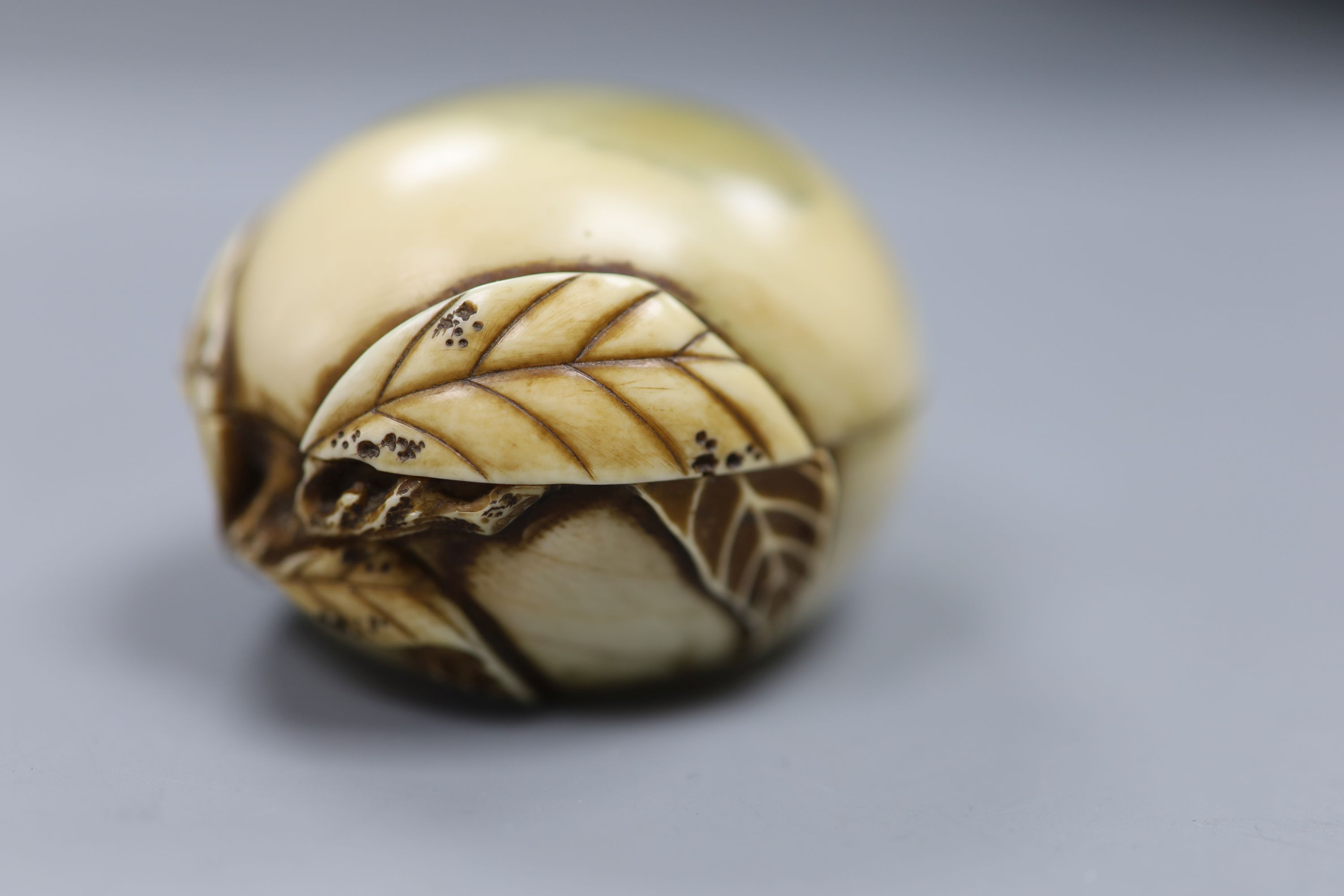 A Chinese ivory peach box, width 7cm